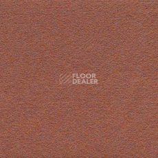 Ковровая плитка Finett Dimension p 509204 – f 509104 фото 1 | FLOORDEALER